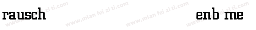 rauschenb medium字体转换